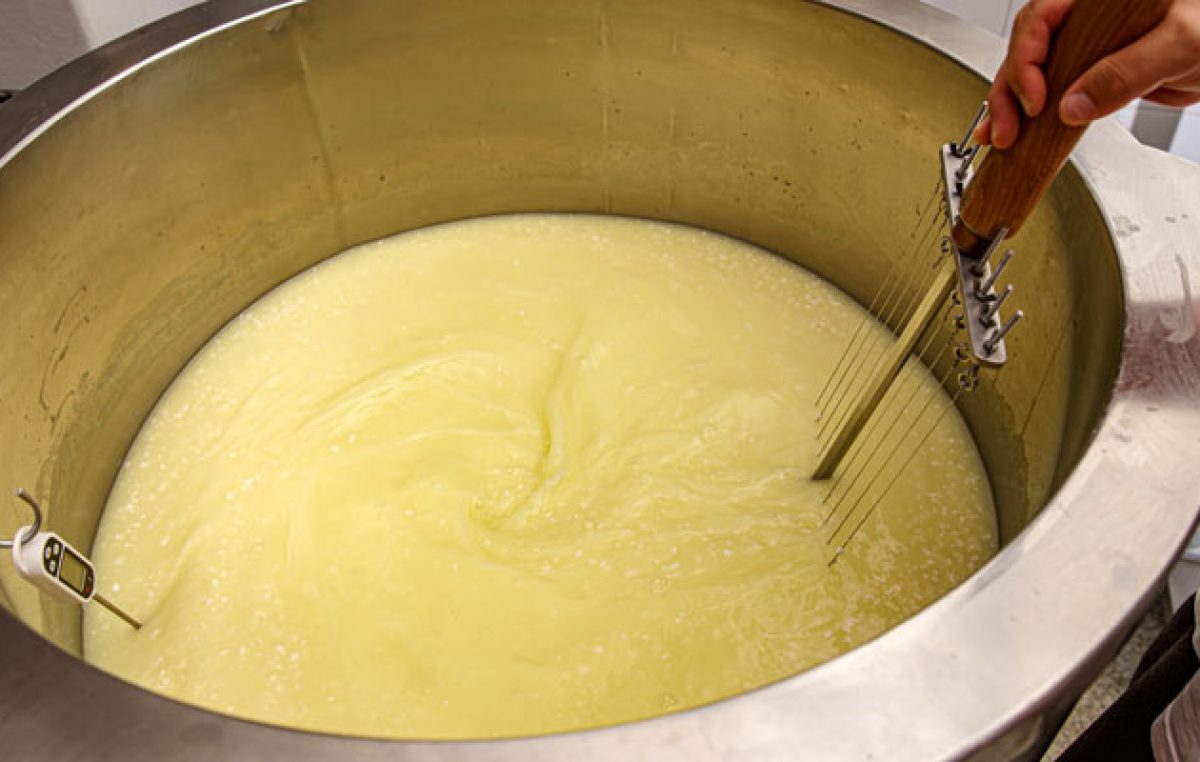 Tancurile de racire a laptelui – sprijinul fermierilor in mentinerea unui lapte sanatos